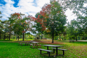 Help Shape Carleton’s Next Student Mental Health Framework