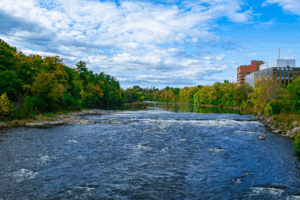 Enhancing Student Wellness at the Wellness Centre