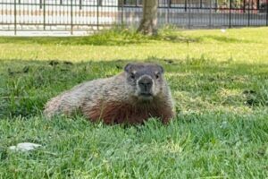 Fall Term Registration Deadlines