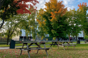 Message from the President: Towards Carleton@100: Community Engagement Underway