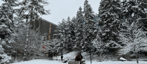 Snow Squall Warning for Ottawa Ended