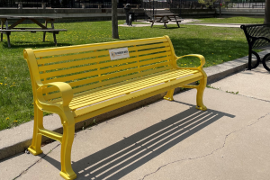 Helping Students Connect and Grow: Group Counselling & Workshops