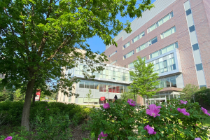 Deferred Winter Term Examinations