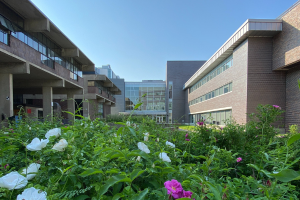 The Summer Session is Almost Here!