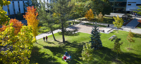 An aerial photo of the Carleton quad. Some of the tree leaves have turned red and gold.