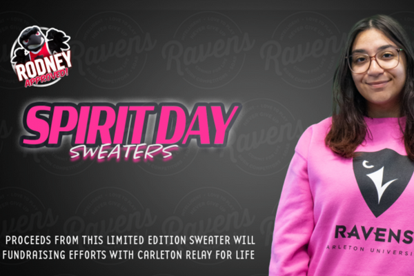 Photo for the news post: Spirit Day Sweaters – Limited Edition Pink Version