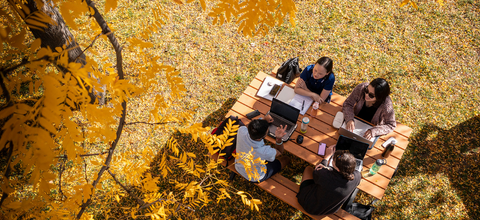 Students sitting at picnic table in the quad amidst yellow autumn leaves