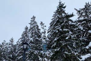 Deferred Final Examination Schedule