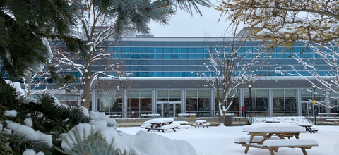 A snow dusted evergreen tree frames a snowy quad and picnic benches with Tory Building in the background