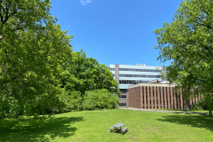 Safer Substance Use in the Summer