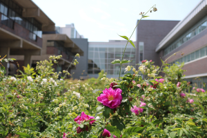 New Collective Agreement Ratified Between CUASA and Carleton University