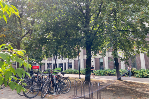 Supporting Your Wellness in Challenging Times