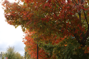 Email and Confidential Information