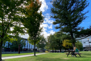 Welcome Back: Wellness Supports