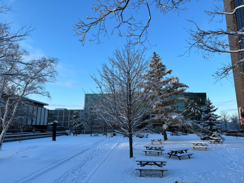 Featured event image for Campus to Community – In From the Cold