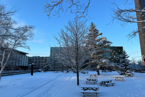 Changing Your Program Elements