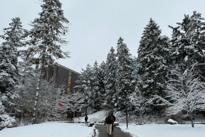 Centre for Student Academic Support: Ace Your Term