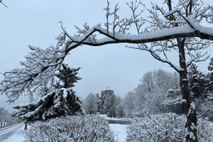 Kick Off the Winter Term with CUSA Frost Week