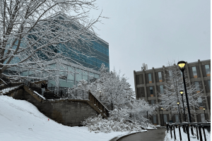 National Day of Remembrance: Québec City Mosque Attack and Action Against Islamophobia