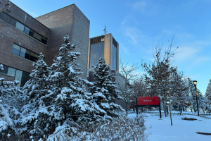 Coordinated Accessibility Strategy Renewal Draft