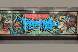 Teraanga Commons art by Jimmy Baptiste