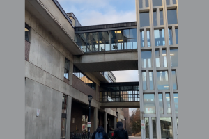 Bird Friendly Art by Carleton Conservation Collective