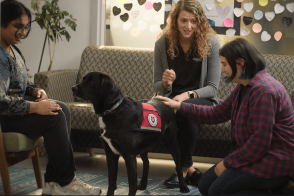 Photo for the news post: Therapy Dog Convocation Livestream