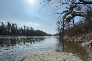 Tips for Tackling Move Out Waste