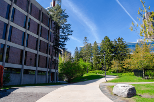 Are You Eligible for the Co-op Program?