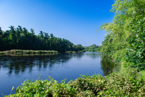 Paying Tuition Fees with OSAP