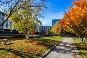 Coordinated Accessibility Strategy Renewal