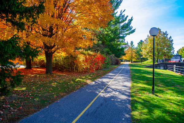 Photo for the news post: Specialized Counselling Services Available