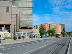 U-Pass and Para Transpo