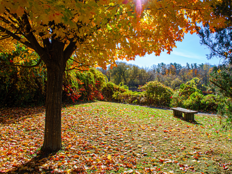 Featured event image for Wellness Resource Spotlight