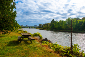 Vote in the Ancillary Fee Referenda