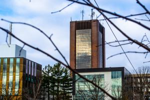 Lock It or Lose It: Staying One Step Ahead of Thieves