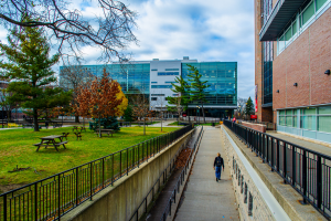 Celebrate Outstanding Student Volunteers: Nominate for the 2025 Board Award