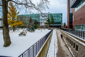 Summer Research Opportunities for FASS & FPGA