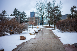 Sexual Assault Awareness Week 2025