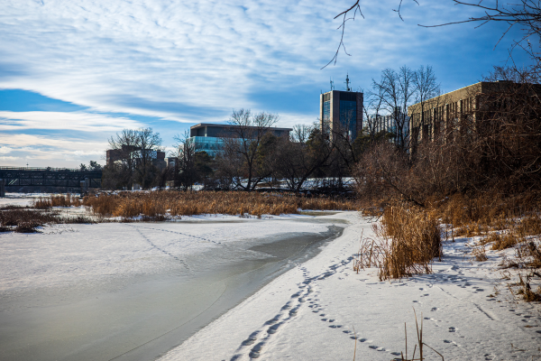 Photo for the news post: Serve on the Carleton Senate