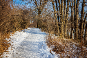 Board of Governors Award for Outstanding Community Achievement