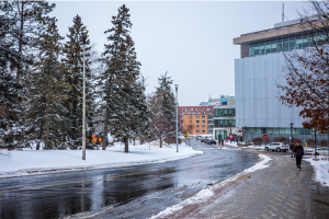 Apply for the International Internship Program