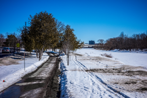 Celebrate Carleton’s 2024 Co-op Award Winners