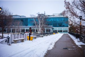 Coming Up at Career Services