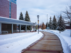 Ratified Agreement between Carleton and CUPE 4600 (Unit 2)