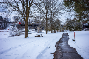 OC Transpo Bus Network Changing