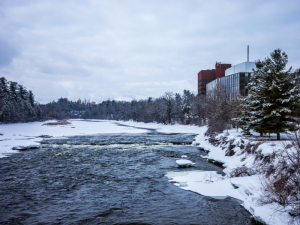 Navigating Stress and Uncertainty