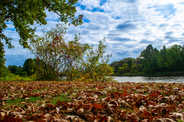 Photo for the news post: Finalize Your Fall 2025 and Winter 2026 Courses