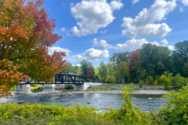 Photo for the news post: Get Involved in Making Campus More Accessible