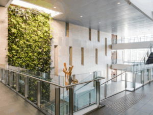 Student Experience Questionnaires Now Available